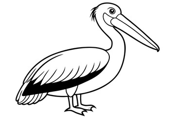 pelican silhouette line art vector illustration with a white background