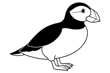 puffin silhouette line art vector illustration with a white background
