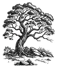 Black and white tree and rocky landscape