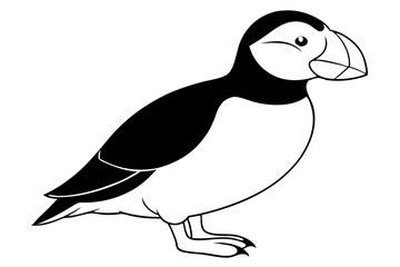 puffin silhouette line art vector illustration with a white background