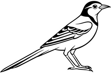 skylark silhouette line art vector illustration with a white background