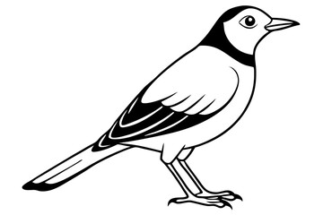 skylark silhouette line art vector illustration with a white background