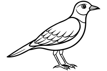 skylark silhouette line art vector illustration with a white background