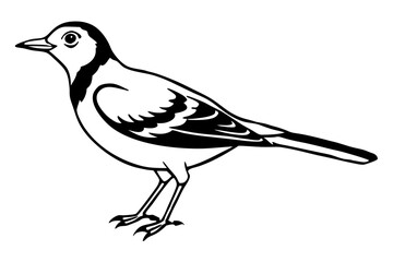 skylark silhouette line art vector illustration with a white background