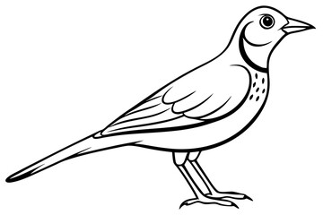 skylark silhouette line art vector illustration with a white background