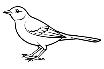 skylark silhouette line art vector illustration with a white background