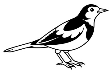 skylark silhouette line art vector illustration with a white background