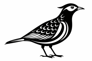 Fototapeta premium skylark silhouette line art vector illustration with a white background