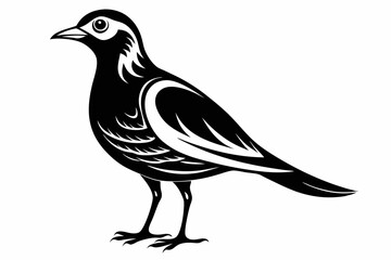 skylark silhouette line art vector illustration with a white background