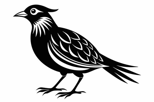 skylark silhouette line art vector illustration with a white background