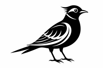 skylark silhouette line art vector illustration with a white background