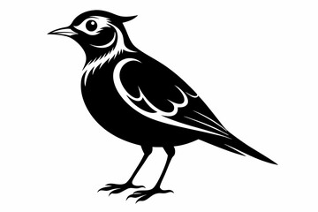 skylark silhouette line art vector illustration with a white background