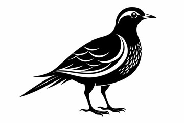 skylark silhouette line art vector illustration with a white background