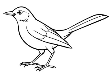 thrush silhouette line art vector illustration with a white background