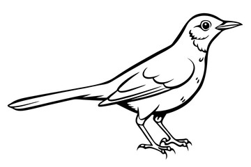 thrush silhouette line art vector illustration with a white background