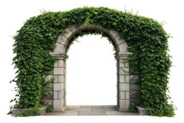 PNG Stone archway covered in lush green vines