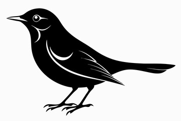 thrush silhouette line art vector illustration with a white background