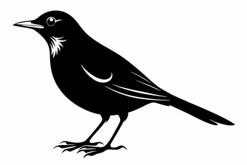 thrush silhouette line art vector illustration with a white background