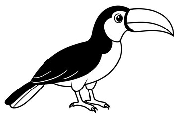 toucan silhouette line art vector illustration with a white background