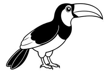 toucan silhouette line art vector illustration with a white background
