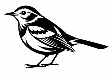warbler silhouette line art vector illustration with a white background