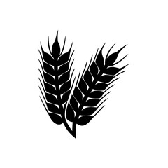 creative details Outline silhouette Wheat icon vector illustration 