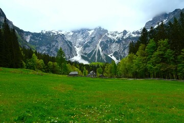Springtime meadow and a cottage at the forest edge and mountains above at Ravenska Kočna valley...