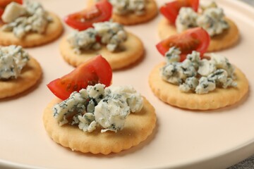 Tasty crackers with blue cheese and tomatoes on plate, closeup