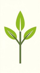 Fototapeta premium Young plant growth, studio shot