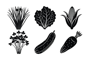 A hand-drawn vector set of vegetable illustrations 
