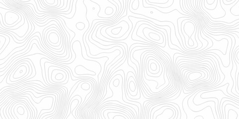 Abstract topography pattern seamless lines sea map modern design white background. Abstract digital topographic contour map concept space geometric strip grid line. Natural discovery of maps.	
