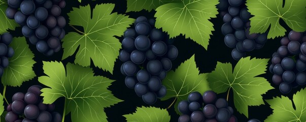 Obraz premium Dark Grapes and Leaves, Fruit , Illustration