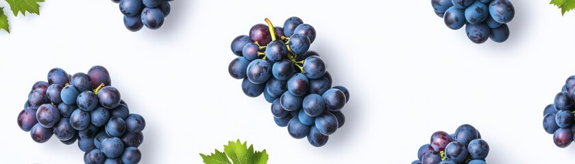 Fototapeta premium Dark Grapes Pattern on White, Food , Fruits