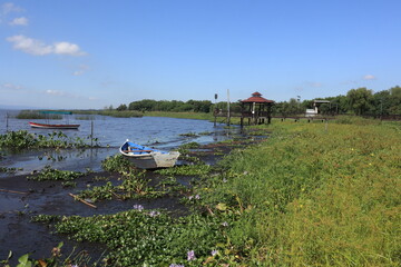Small fishing boats along the shoreline of Lake Ypacaraí near Areguá, Paraguay