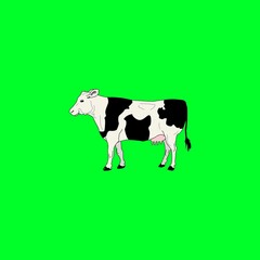 Cow Green background