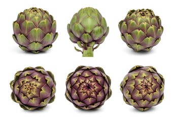 Fototapeta premium Close up of several fresh artichokes arranged on a white surface for a healthy meal