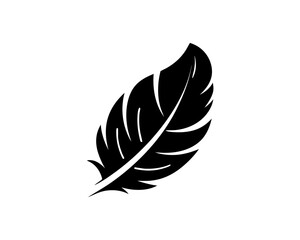 Obraz premium creative details Outline silhouette Feather icon vector illustration 