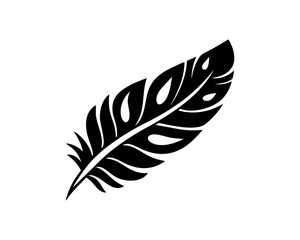 Fototapeta premium creative details Outline silhouette Feather icon vector illustration 