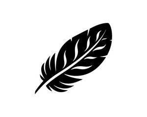 creative details Outline silhouette Feather icon vector illustration 