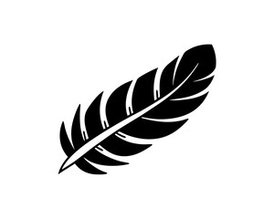 Obraz premium creative details Outline silhouette Feather icon vector illustration 
