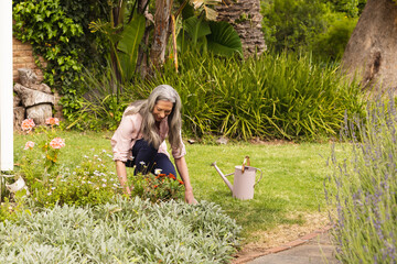 Senior woman kneeling and tending flower bed in private backyard garden, with pink watering can