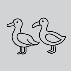 Albatross Illustration Nature Inspired Design