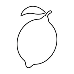 Fresh lemon fruit outline style. Citrus isolated on white background. lemon icon for lemonade juice, vitamin C.Ideal for emblem natural product, farmers market, cosmetic.Flat line Vector illustration.
