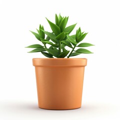 Terracotta pot plant displays vibrant greenery.