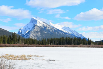 
Banff National Park spring foliage scenery. Alberta, Canada. Vermilion Lakes, Mount Rundle....
