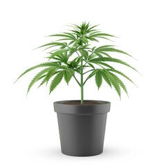 Obraz premium Potted cannabis plant, digitally rendered, against white background.