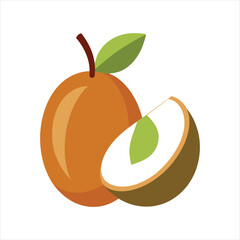 Vector Illustration of Fresh Sapodilla Fruit and Half Slices