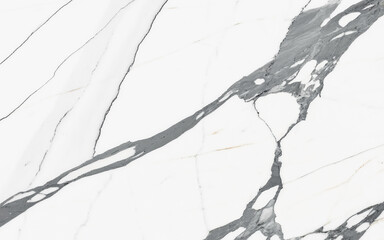 Fototapeta premium Statuario Marble with Crisp White Base and Dramatic Gray Veins
