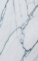 White Carrara Marble Texture with Soft Gray Veins