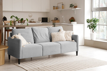 Interior of light kitchen with grey sofa, counters and plants